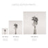 Rose No.3 - Signed Edition Art Print